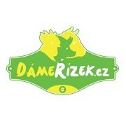 logo DámeŘízek