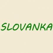 logo Bufet Slovanka