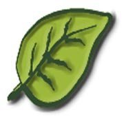 logo Lemon Leaf